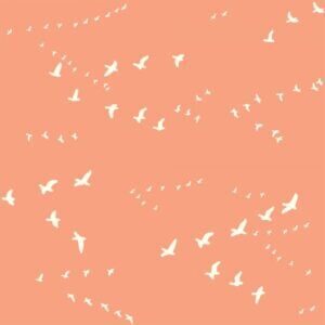 Bio-Baumwolle Birch Fabrics Birch Basics - Flight in peachy