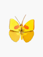 Studio ROOF - Yellow Butterfly Studio ROOF - Yellow Butterfly