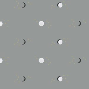 Believe - Moonlight Fog