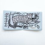 Color Me: Who's in the Rainforest?