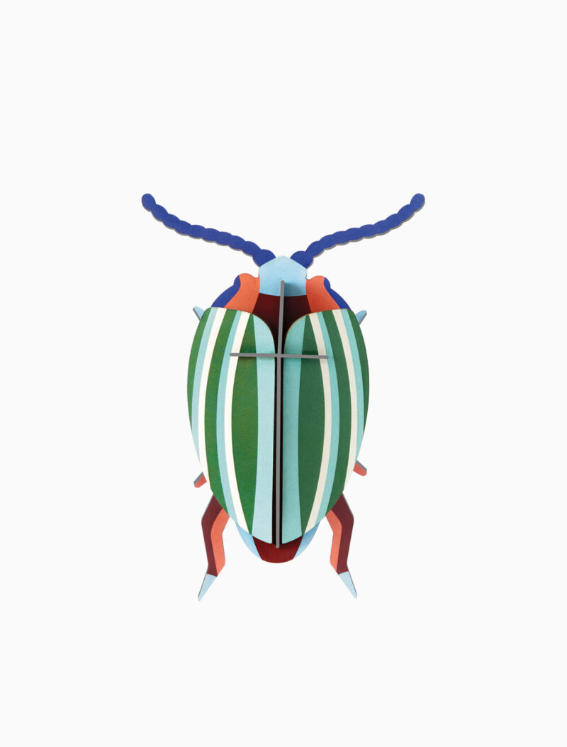 Studio ROOF - Small Insects - Rainbow Leaf Beetle Studio ROOF - Small Insects - Rainbow Leaf Beetle