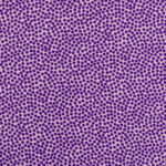 swafing-dotty-19flieder-1