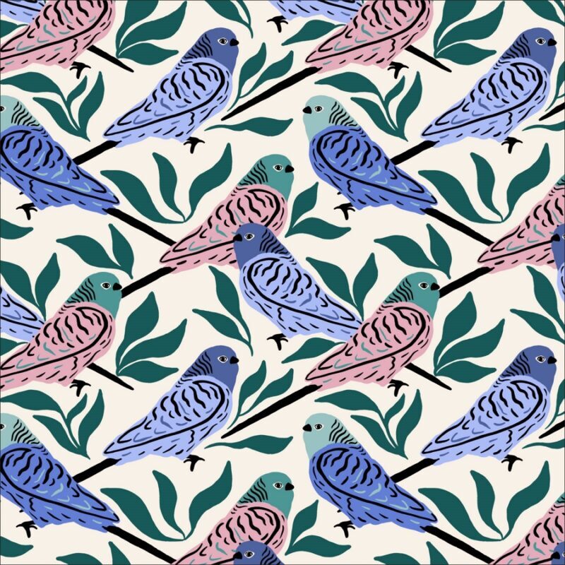 Cloud 9 - Comforts of home - Parakeets Cloud 9 - Comforts of home - Parakeets