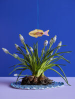 FISH_ORNAMENT-FESTIVE-PLAY-LUCKY-CHARM_WEBSITE_AMBIENT_PICTURE