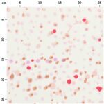 f4357cf48b21b7a17aa81867d6df25e8