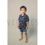 verhees-textiles-poplin-dragon-navy-1