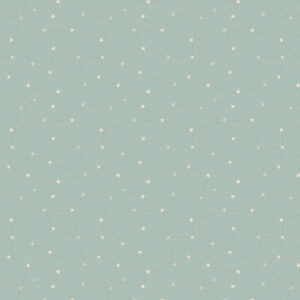 Cotton&Steel Fabrics - Savanna - Starry Night - Look Into The Stars