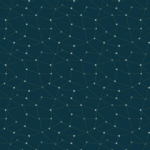 Cotton&Steel Fabrics - Savanna - Starry Night - Under The Stars