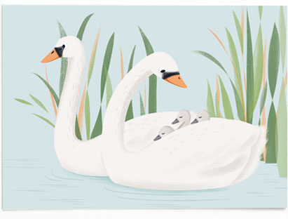 Vierundfünfzig Illustration - Postkarte Schwäne Vierundfünfzig Illustration - Postkarte Schwäne