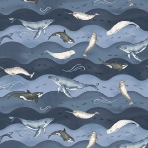 Studio E - Polar Plungers - Whales and Waves
