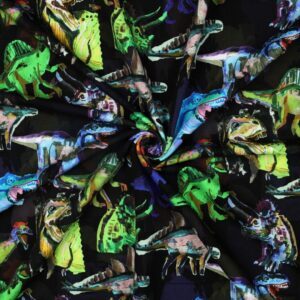 verhees textiles - Sweat Dinosaurier schwarz